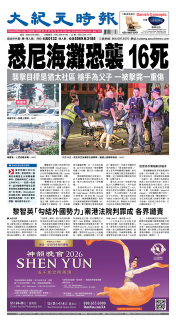 2025年12月15日版